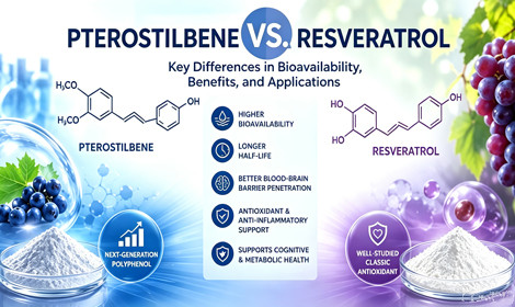 Pterostilbene Powder vs Resveratrol: Key Differences and Applications